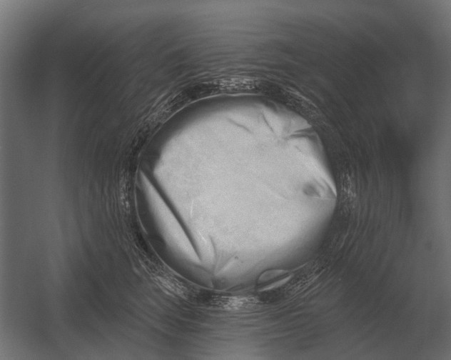 X0000052940663200507300020