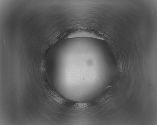 X0000052940665200507300020