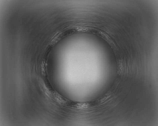 X0000052940667200507300020