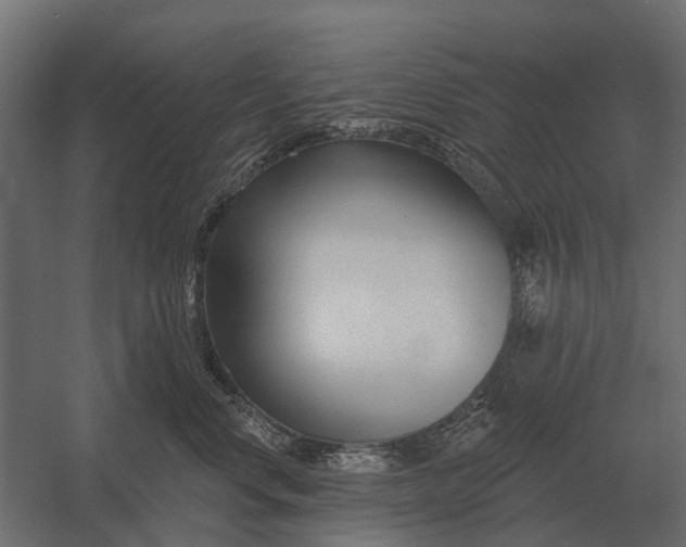 X0000052940668200507300020