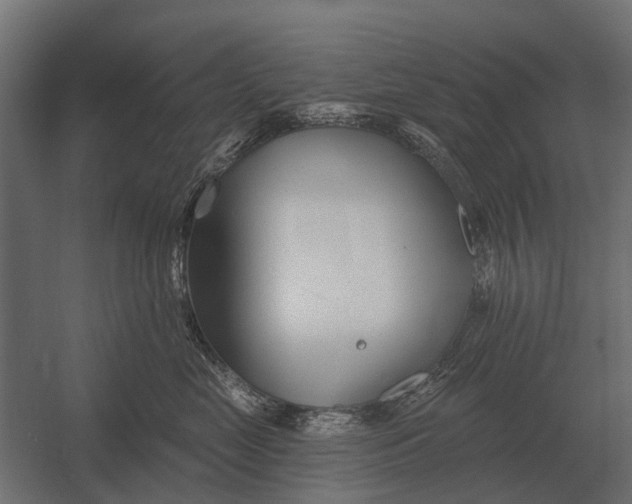 X0000052940669200507300020