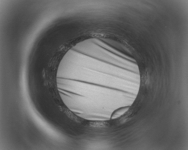 X0000052940671200507300020