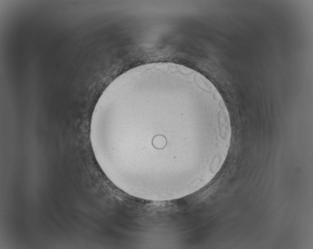 X0000052940672200507300020