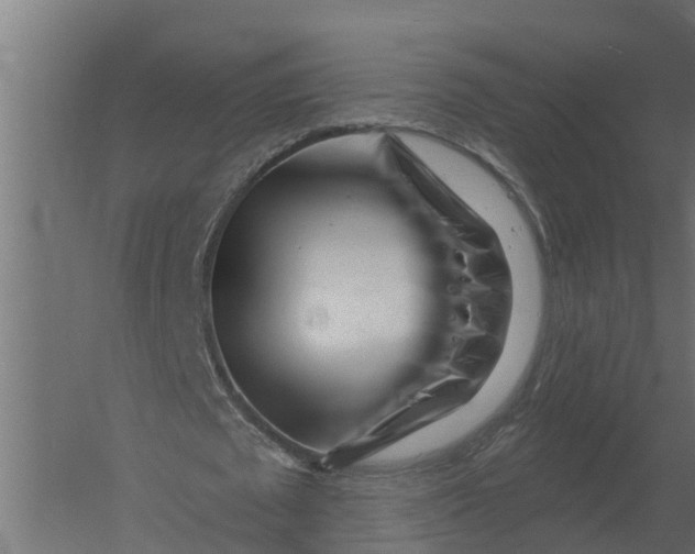 X0000052940673200507300019