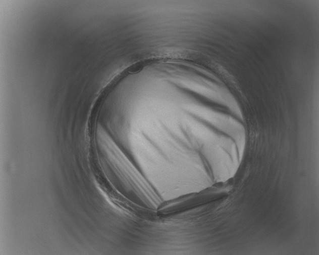 X0000052940674200507300019