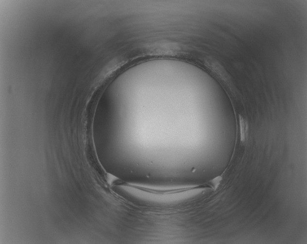 X0000052940675200507300019