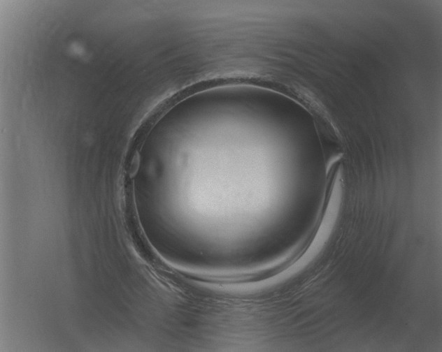 X0000052940676200507300019