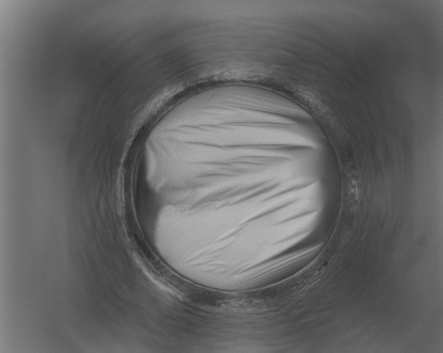 X0000052940678200507300019