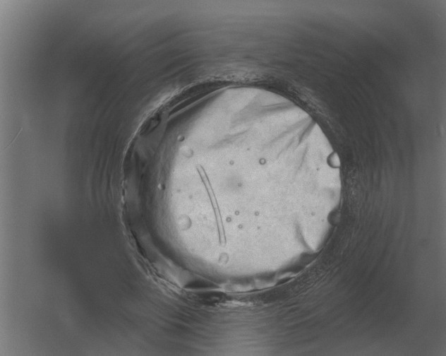 X0000052940679200507300019