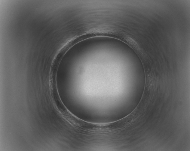 X0000052940680200507300019