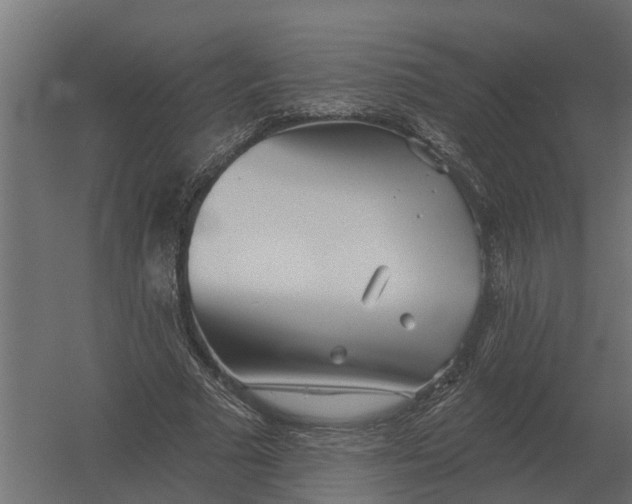 X0000052940681200507300019