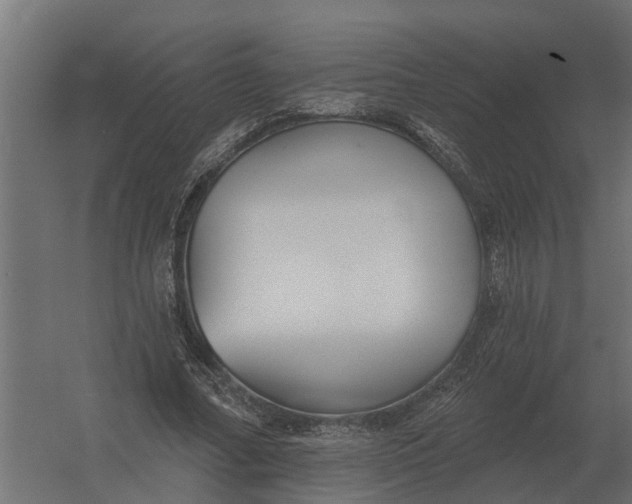 X0000052940682200507300019