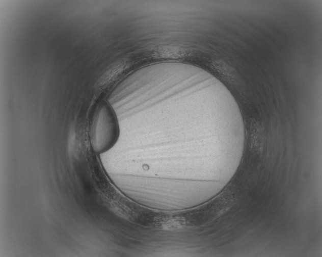 X0000052940683200507300019