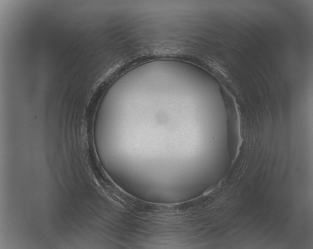 X0000052940684200507300019