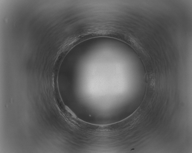 X0000052940685200507300019