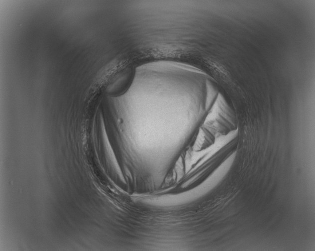 X0000052940687200507300019