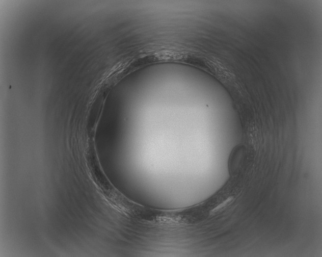 X0000052940690200507300019