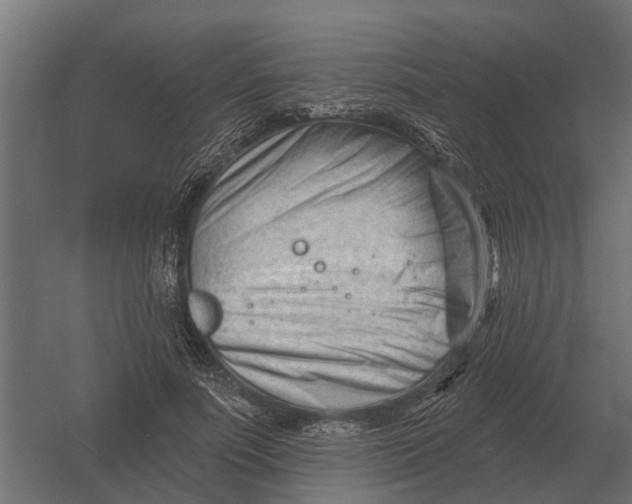 X0000052940691200507300019