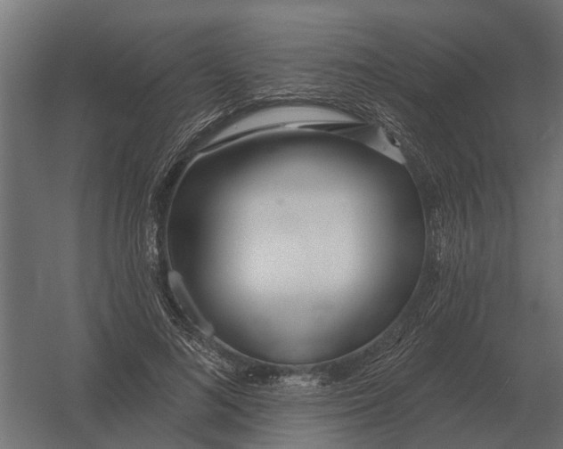 X0000052940692200507300019