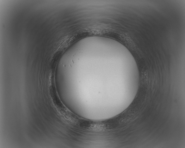 X0000052940694200507300019