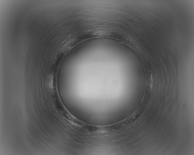 X0000052940696200507300018