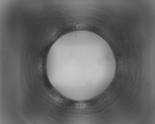 X0000052940698200507300018