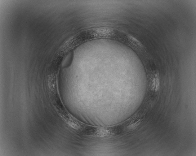 X0000052940701200507300018