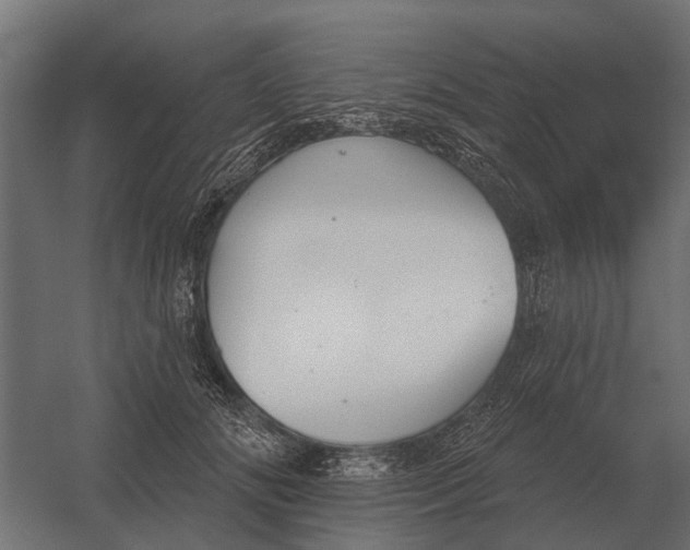 X0000052940702200507300018