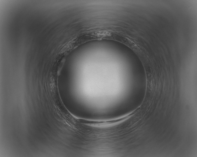 X0000052940704200507300018