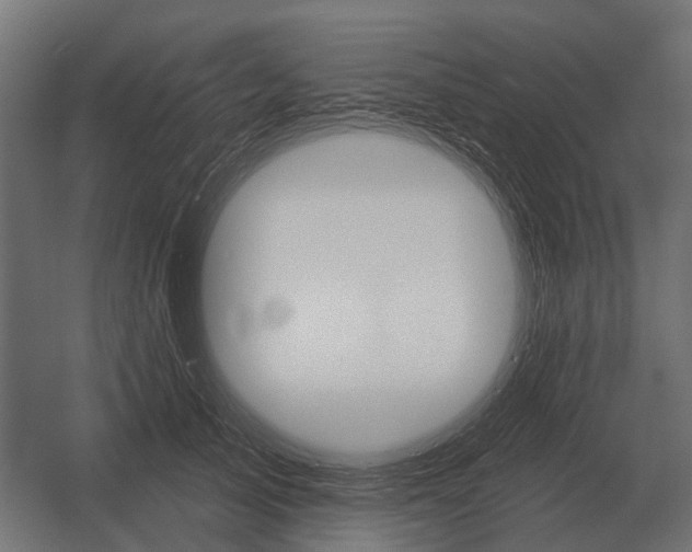 X0000052940705200507300018