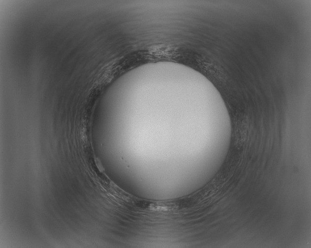 X0000052940706200507300018