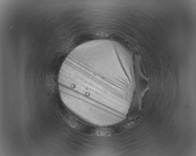 X0000052940707200507300018