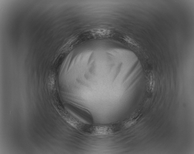 X0000052940709200507300018