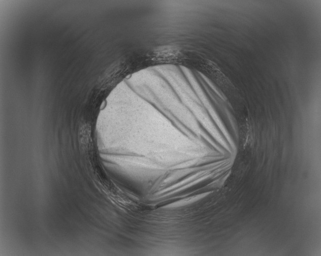 X0000052940711200507300018