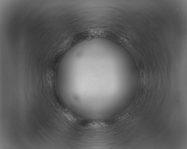 X0000052940712200507300018