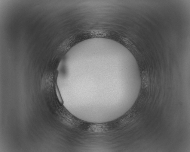 X0000052940713200507300018