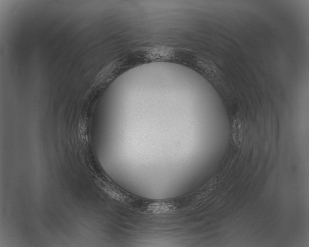 X0000052940714200507300018