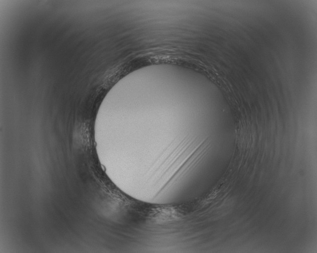 X0000052940715200507300018