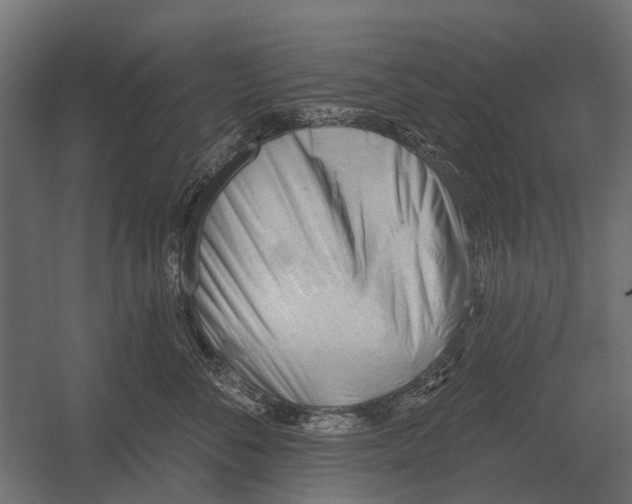 X0000052940716200507300018