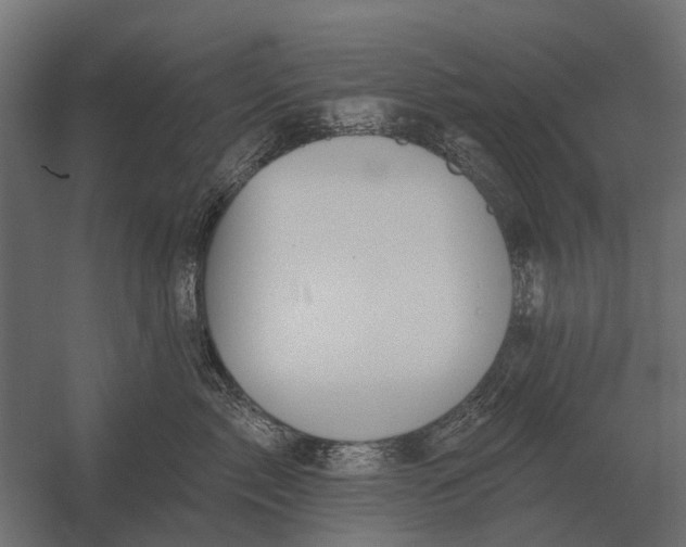 X0000052940717200507300018