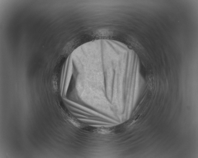 X0000052940718200507300018