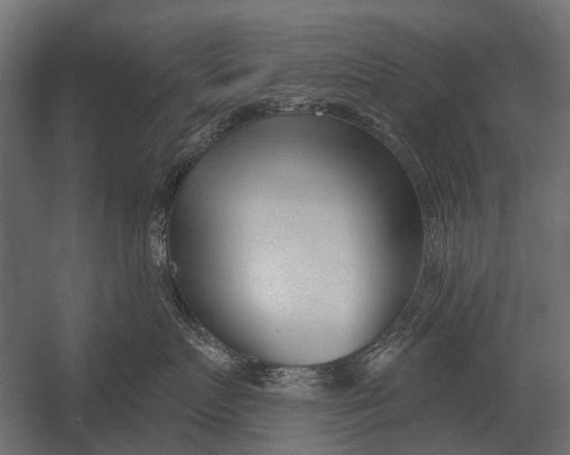 X0000052940719200507300018