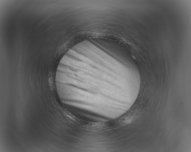 X0000052940720200507300018