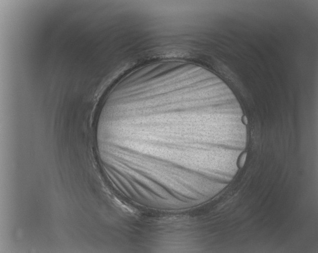 X0000052940721200507300017