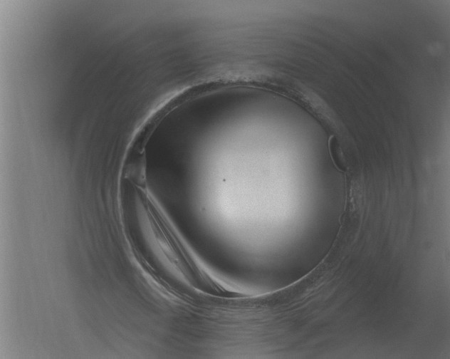 X0000052940722200507300017