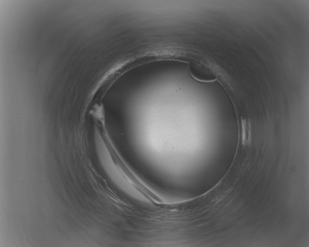 X0000052940723200507300017