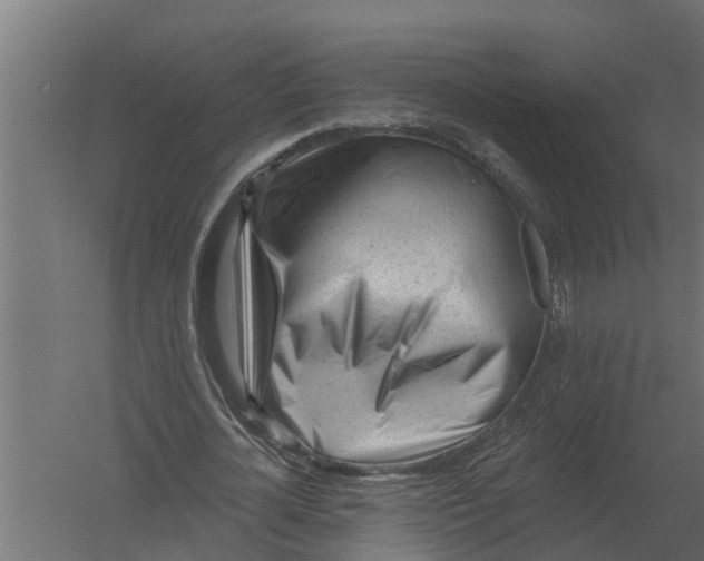 X0000052940724200507300017