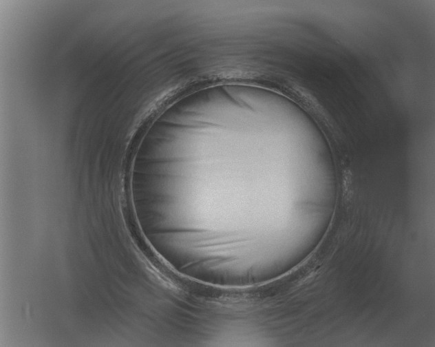 X0000052940725200507300017