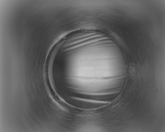 X0000052940726200507300017