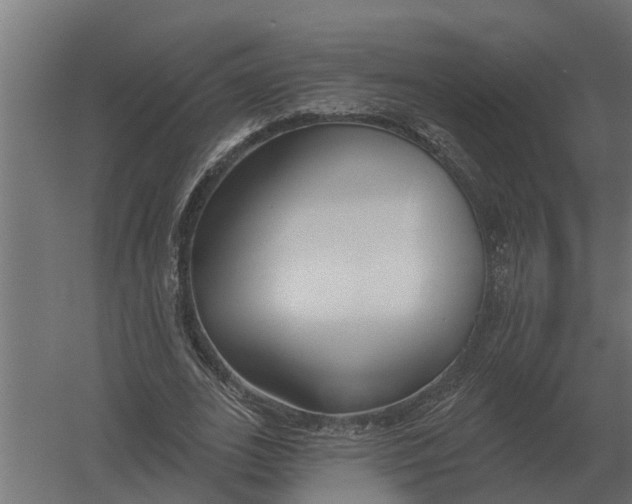 X0000052940727200507300017